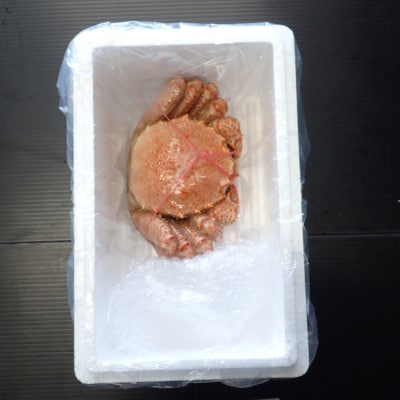 ボイル毛がに540～650g×1尾 B-11120