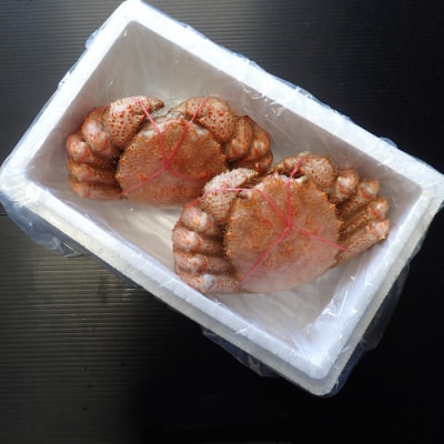 ボイル毛がに500～600g×2尾 F-11030