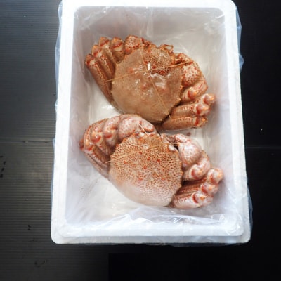 ボイル毛がに700～900g×2尾 D-11054