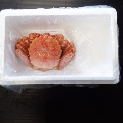 ボイル毛がに540～650g×1尾 B-14123