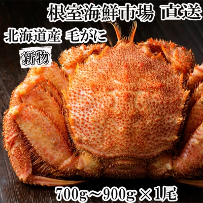 根室海鮮市場＜直送＞ボイル毛がに700～900g×1尾 C-28060