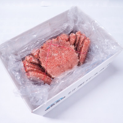 根室海鮮市場＜直送＞ボイル毛がに700～900g×1尾 C-28060