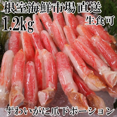���H�p�{�Y���C�K�j�܉��_���|�[�V����1.2kg B-14086