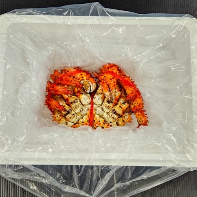 【北海道根室産】ボイル冷凍花咲ガニ姿800g前後×1尾 C-66024