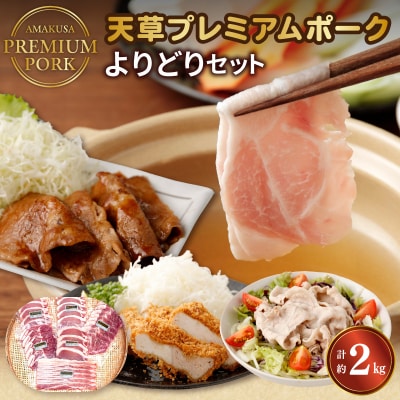 天草プレミアムポーク よりどりセット約2kg_S058-019A