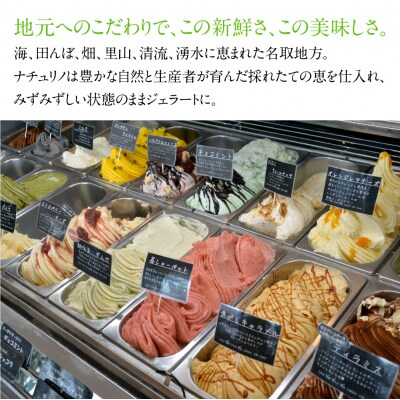 秘伝の陣太刀 ずんだ ジェラート 6個セット