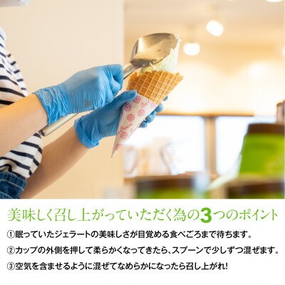 秘伝の陣太刀 ずんだ ジェラート 6個セット