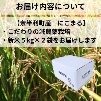 【令和7年産】にこまる10kg　120004-7