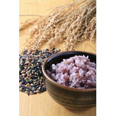 【令和7年産新米】【有機JAS認証取得】夢の谷ファームの有機古代米 100g×16袋