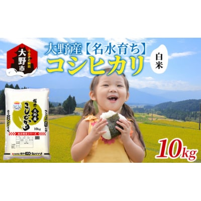 【令和7年産】大野産コシヒカリ(白米)10kg【大野ブランド米 名水育ち】