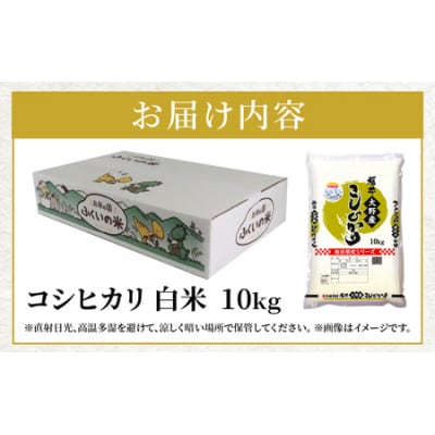 【令和7年産】大野産コシヒカリ(白米)10kg【大野ブランド米 名水育ち】