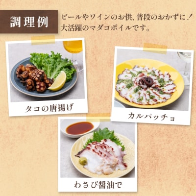 マダコ 煮たこ 石巻港 直送 たこ タコ ボイル 活マダコ 丸ごと おかず おつまみ 