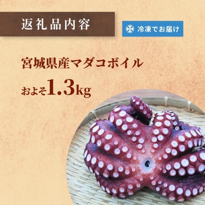 マダコ 煮たこ 石巻港 直送 たこ タコ ボイル 活マダコ 丸ごと おかず おつまみ 