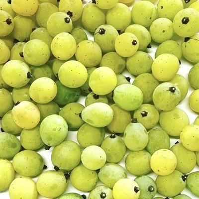 ぶどうの宝石箱(品種いろいろ、粒のみ詰合せ)　500g×2パック　0065-2603