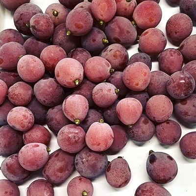 ぶどうの宝石箱(品種いろいろ、粒のみ詰合せ)　500g×2パック　0065-2603