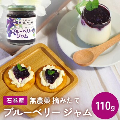 �u���[�x���[�W���� 110g ���Y�� �E�݂��� ���� �ʎ� 100% �A���g�V�A�j�� �g�b�s���O