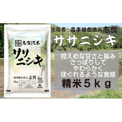 【令和7年産】志賀沢米 ササニシキ 精米5kg [No.5704-0512]