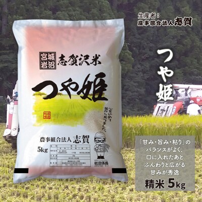 【令和7年産】志賀沢米 つや姫 精米5kg [No.5704-0514]