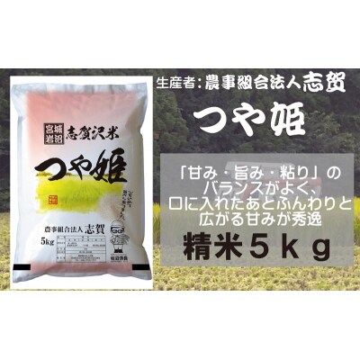 【令和7年産】志賀沢米 つや姫 精米5kg [No.5704-0514]