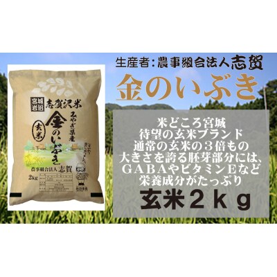 【令和7年産】玄米 金のいぶき 2kg [No.5704-0794]