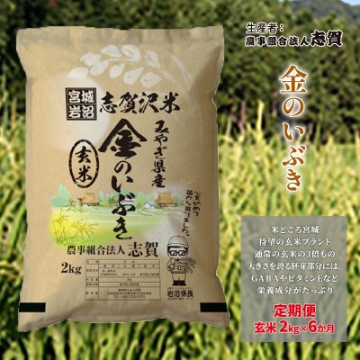 【令和7年産】【6ヶ月定期便】玄米 金のいぶき 2kg [No.5704-0804]