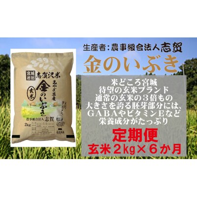 【令和7年産】【6ヶ月定期便】玄米 金のいぶき 2kg [No.5704-0804]