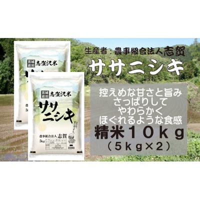 【令和7年産】志賀沢米 ササニシキ精米10kg (5kg×2) [No.5704-0501]