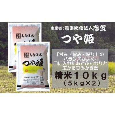 【令和7年産】志賀沢米 つや姫 精米10kg (5kg×2) [No.5704-0503]