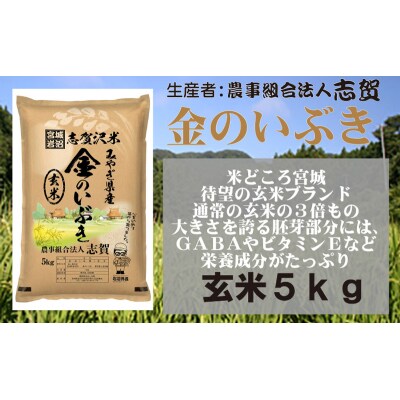 【令和7年産】志賀沢米 玄米 金のいぶき 5kg  [No.5704-0509]