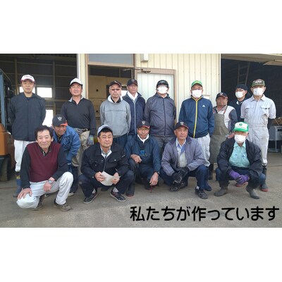 【令和7年産】【6ヶ月定期便】だて正夢 精米10kg[No.5704-0769]