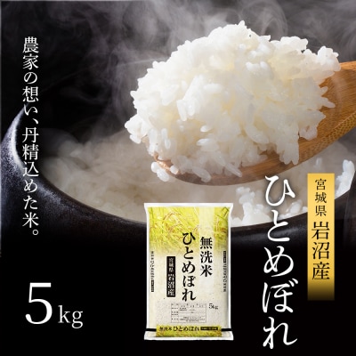 令和7年産 ひとめぼれ 5kg 無洗米 米 コメ 宮城県 岩沼市[No.5704-1215]
