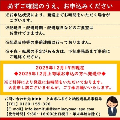 かみのやまシュー　12個　0048-2506