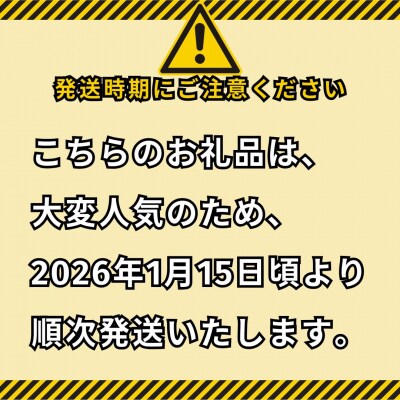 ◆鳥取和牛◆ランプステーキ2枚セット(82K.)