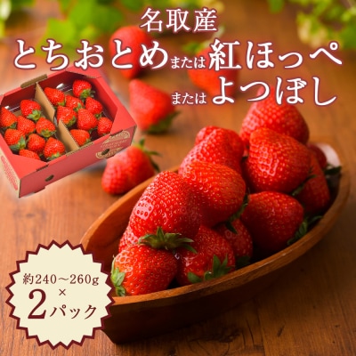 名取産 いちご 約240～260g×2パック