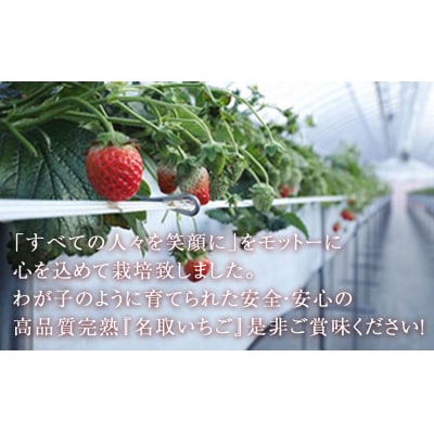 名取産 いちご 約240～260g×2パック