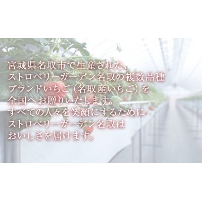 名取産 いちご 約240～260g×2パック