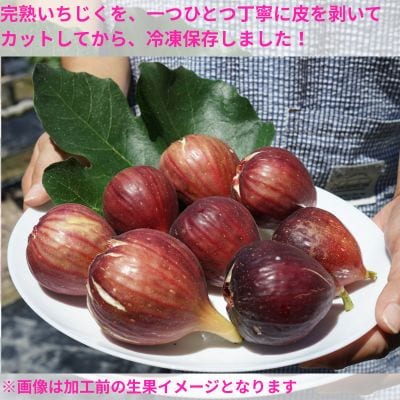 冷凍いちじく(約500g)　116021