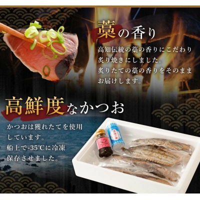 【定期便 / 6ヶ月連続】 土佐流藁焼きかつおのたたき 2種食べ比べ4節セット(タレ・塩付き)