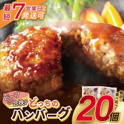 【7営業日以内発送】どっちのハンバーグ!?デミグラスソース20個セット