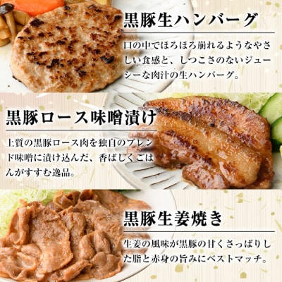 南州農場　黒豚バラエティ詰合せB　A03006