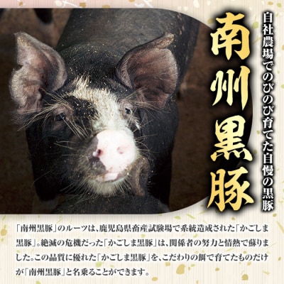 <定期便・全3回>南州農場黒豚ロース味噌漬(計1.5kg・100g×5P×毎月3回)　E03002