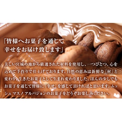 アルパジョン とろける クッキー 12袋 & クマの手シューラスク プレミアム チョコレート 6個