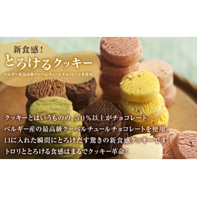 アルパジョン 新食感 ! とろけるクッキー 24袋入 ベルギー産 チョコレート 使用