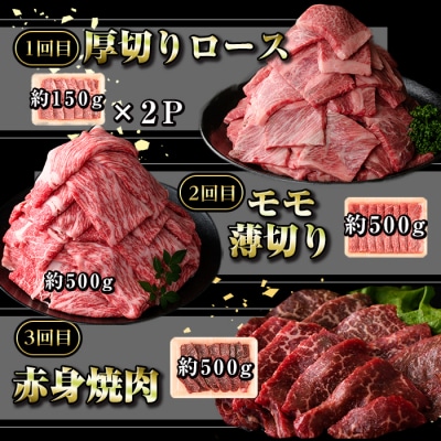 定期便・全6回(連続)鹿児島黒牛定期便・堪能セット(全6種・合計2.8kg)　D01011