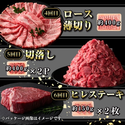 定期便・全6回(連続)鹿児島黒牛定期便・堪能セット(全6種・合計2.8kg)　D01011