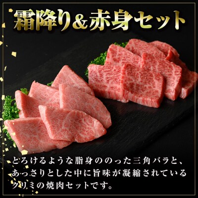 鹿児島黒牛　霜降り&赤身焼肉セット 三角バラ クリミ(計約800g・各400g×2種)　B01036