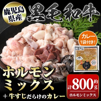  黒毛和牛ホルモンミックス(計800g)+黒毛和牛牛すじだらけのカレー(1袋)セット!　A91031
