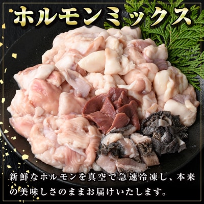  黒毛和牛ホルモンミックス(計800g)+黒毛和牛牛すじだらけのカレー(1袋)セット!　A91031