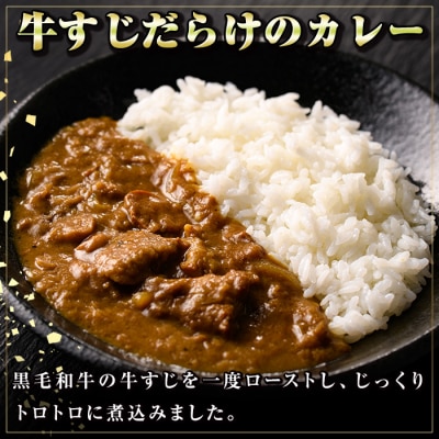  黒毛和牛ホルモンミックス(計800g)+黒毛和牛牛すじだらけのカレー(1袋)セット!　A91031