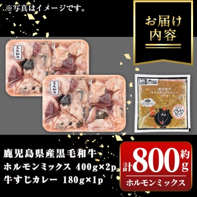  黒毛和牛ホルモンミックス(計800g)+黒毛和牛牛すじだらけのカレー(1袋)セット!　A91031